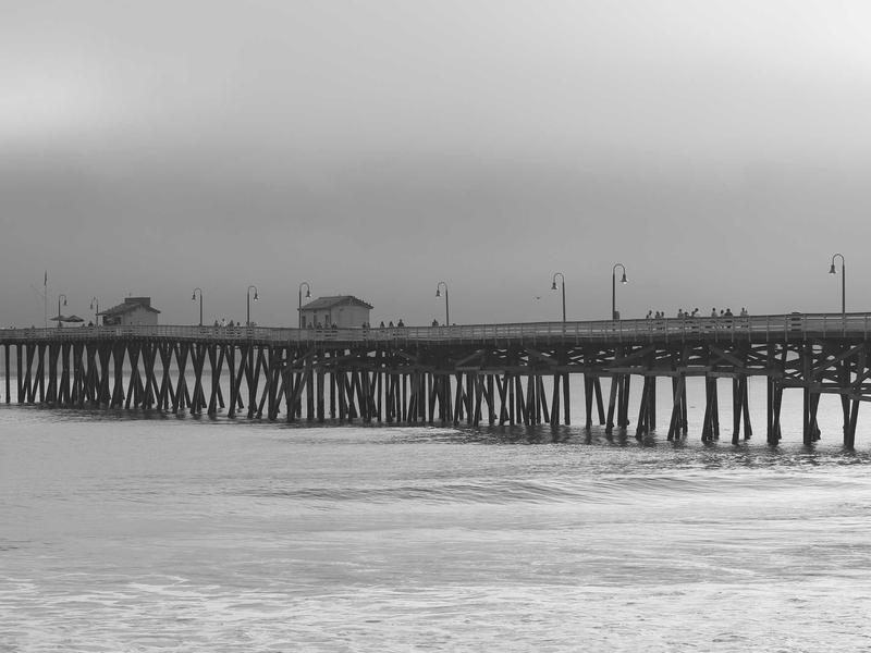 인피니티 펫 가든